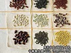 附子理中丸适用的症状_附子理中丸临床应用
