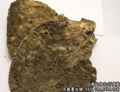 沉香散适用的症状_沉香散临床应用