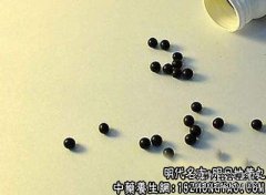 明目地黄丸适用的症状_明目地黄丸临床应用