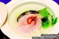 清胆行气汤适用的症状_清胆行气汤临床应用