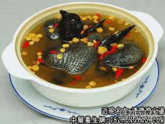 清胆泻火汤适用的症状_清胆泻火汤临床应用