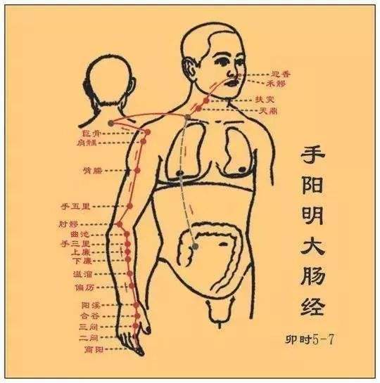 美容通便：手阳明经疏通先