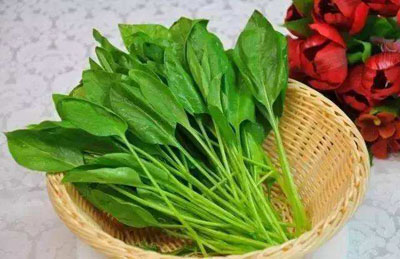 菠菜的营养价值与功效作用_菠菜图片