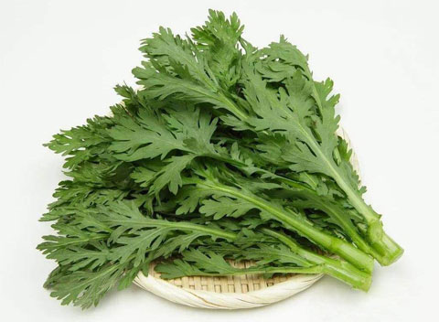茼蒿的营养价值和功效作用