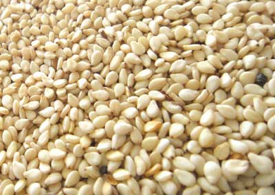 芝麻的功效与作用_芝麻的营养价值与相克相宜食物禁忌
