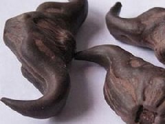 菱角图片_菱角的功效与作用、营养价值
