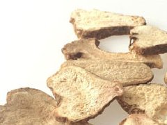 白术_白术的功效与作用