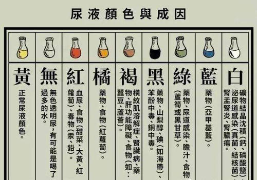 什么叫做脓尿?