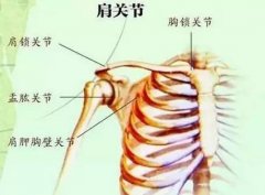 肩关节挛缩综合征是什么症状和表现用中医来解释