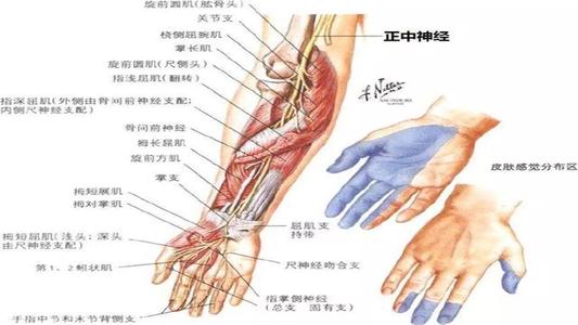 旋前圆肌综合征是什么症状和表现用中医来解释