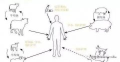 布鲁氏杆菌病是什么症状和表现用中医来解释