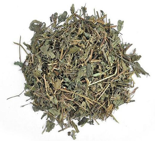 马兰草的功效与作用