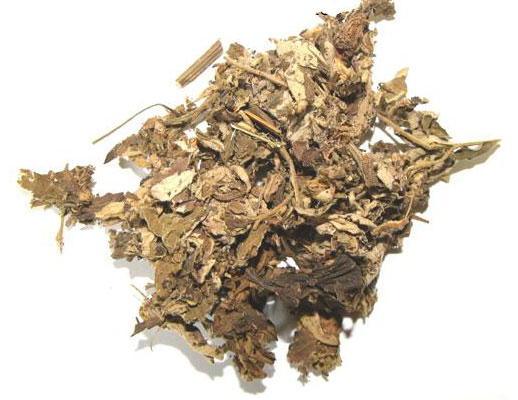 五月艾的功效与作用