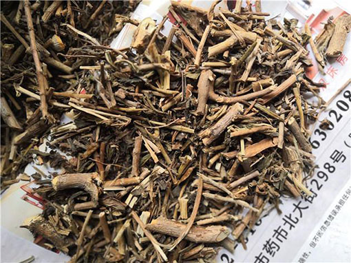 长春花的功效与作用
