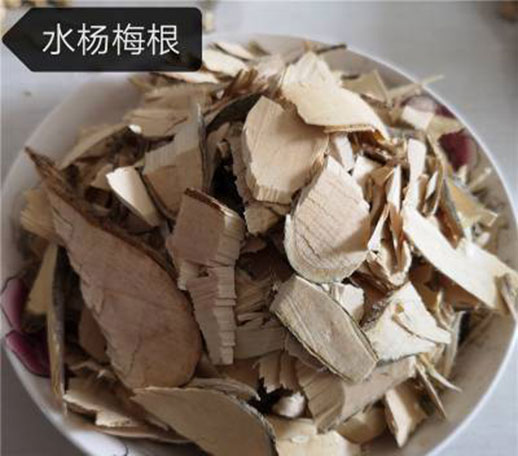 水田七的功效与作用