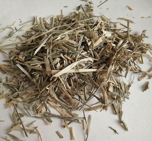 牛筋草的功效与作用