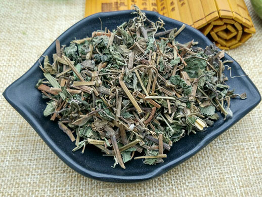 乌蔹莓的功效与作用