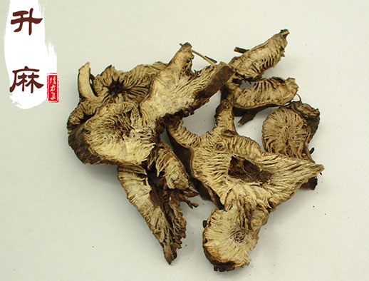 升麻的功效与作用