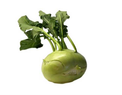 大头菜图片