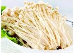 金针菇图片_金针菇的功效与作用