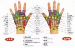 什么叫身体反射?临床上为什么常检查某些反射?