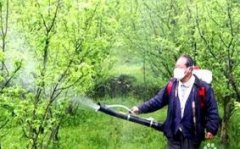 怎样预防有机磷农药中毒?