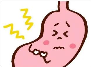 胃在什么地方?它由哪几部分组成?