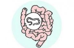 为什么槟榔南瓜子合剂驱除带绦虫的效果比单用一药为好?