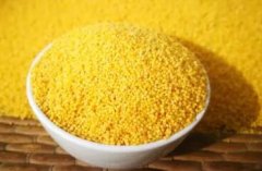 小米的功效与作用_小米图片