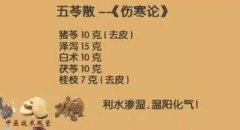 五苓散的功效与作用_五苓散适用的症状