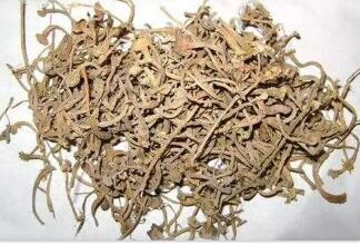 瓜蒂散适用的症状
