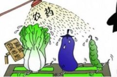 怎样防止农药污染中毒?