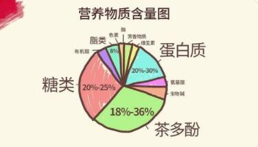 茶叶中含有哪些营养成分?