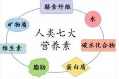 什么是营养素?包括种类及功能?