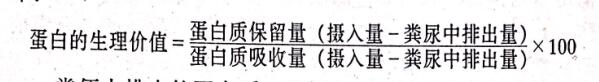 哪些食品里面的蛋白质含量比较高