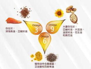 什么是必需脂肪酸?它的主要生理作用有哪些?