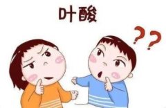 “叶酸”对人体有何作用?存在于哪些食物中?