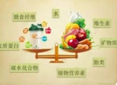 人体必需的矿物质有哪些种类?