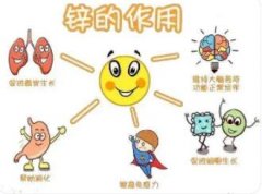 锌对人体有何作用与功效