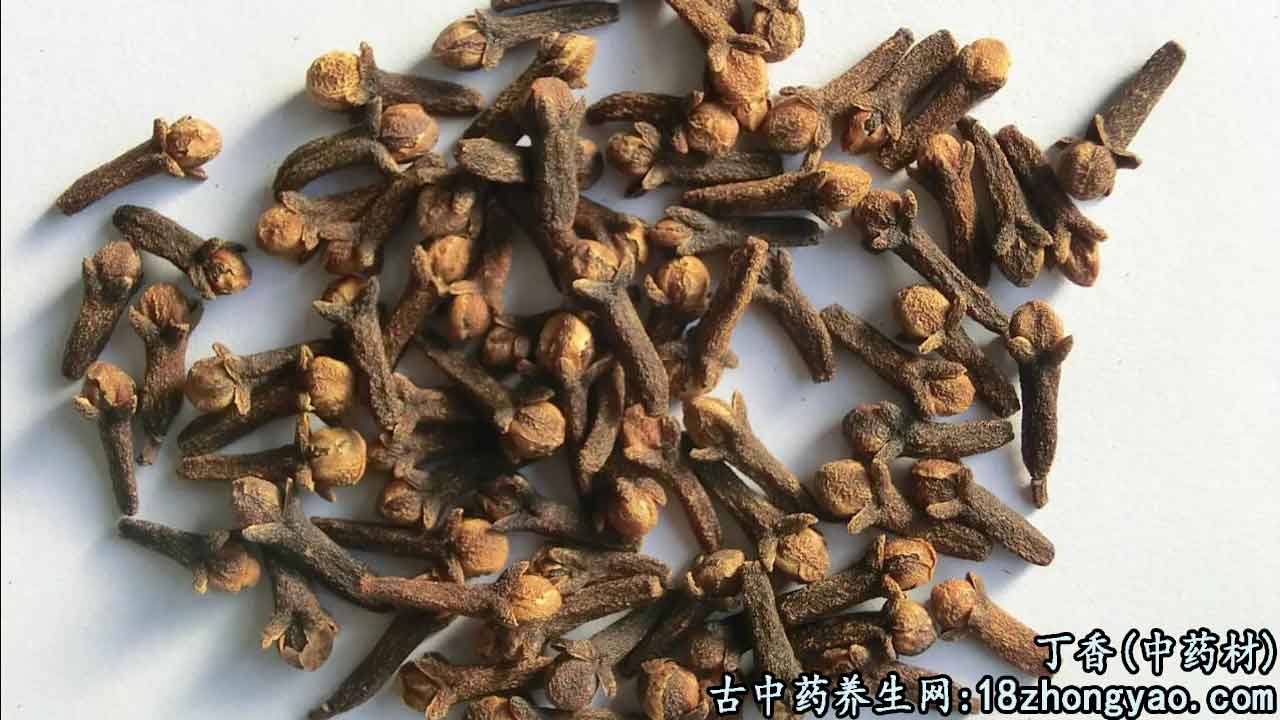 丁香的图片